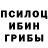 Псилоцибиновые грибы Magic Shrooms Valdecir Petri