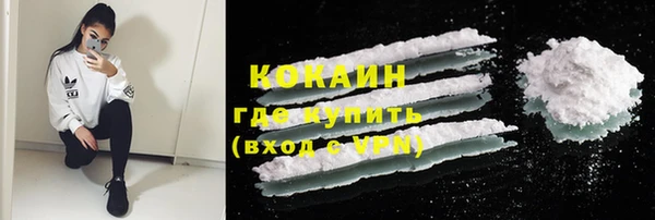 дживик Алексин