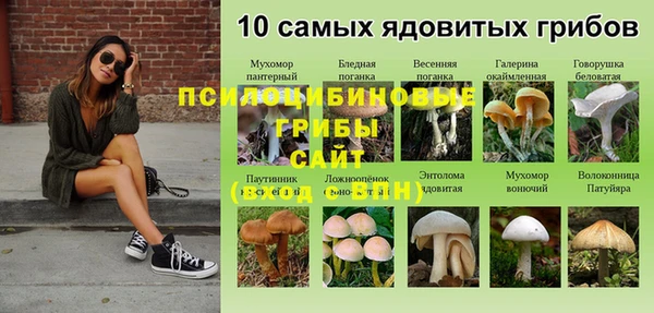дживик Алексин
