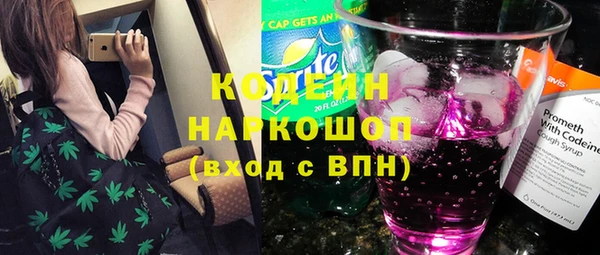 индика Горно-Алтайск