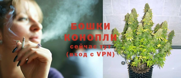 дурь Алексеевка
