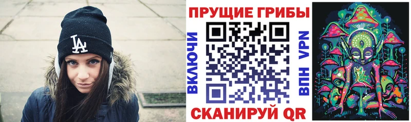 хочу наркоту  Оленегорск  Псилоцибиновые грибы Psilocybe 